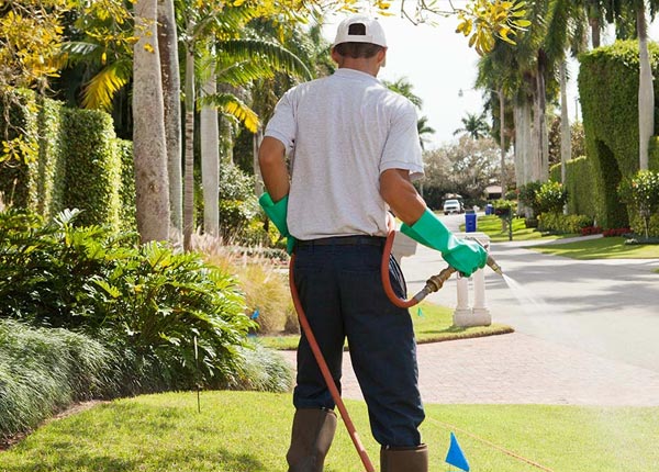 About Battle Ground IN Pest Control